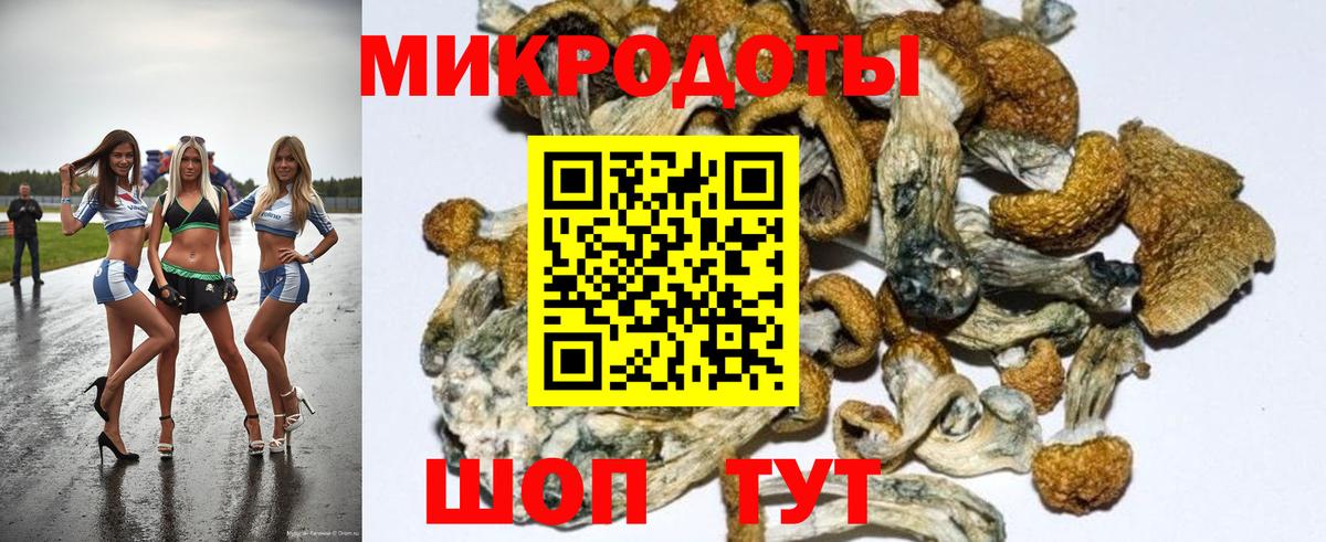 Галлюциногенные грибы MAGIC MUSHROOMS Братск