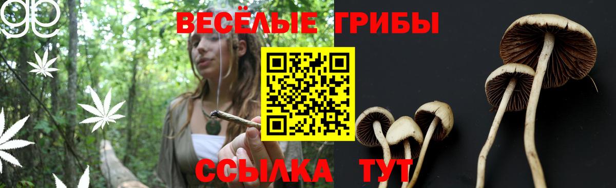 Галлюциногенные грибы Psilocybine cubensis  Вход с VPN  Братск 